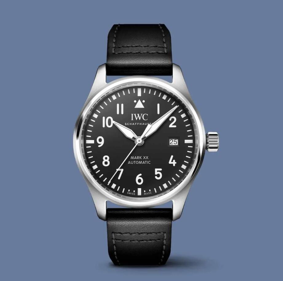 Fake IWC