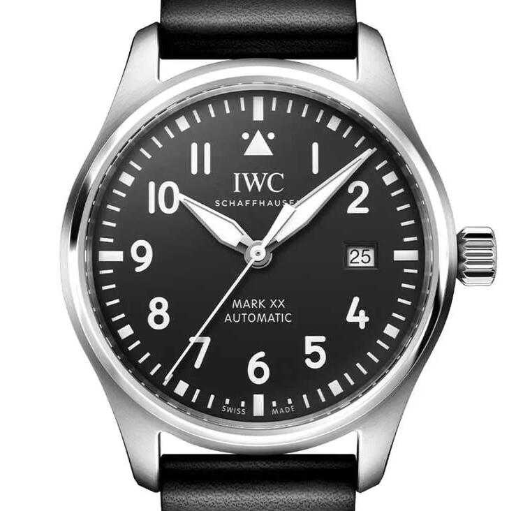 Fake IWC